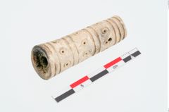 Foto von Beingriff (NHMW-PRAE-024936)